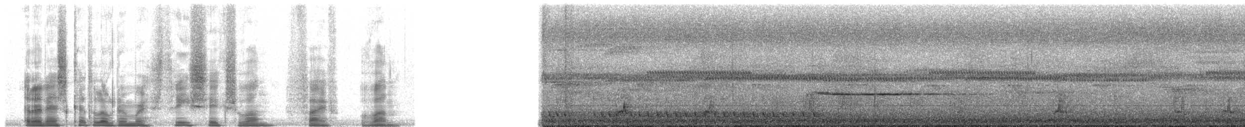 Яванская лесная куропатка - ML36151