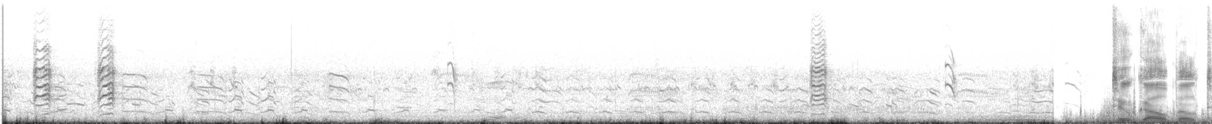 Gull-billed Tern - ML361527001