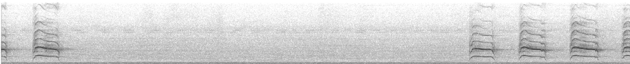 Красноплечий канюк [группа lineatus] - ML361541051