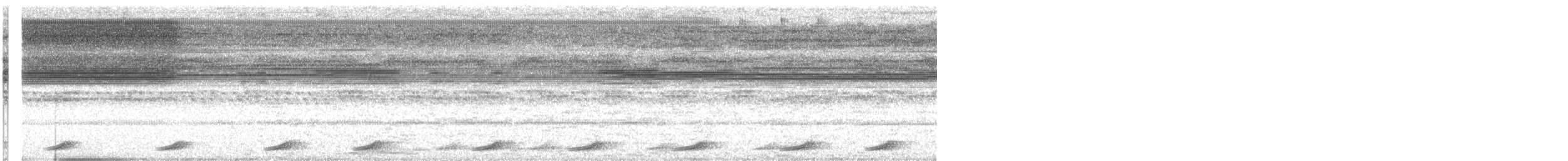 Pauraquenachtschwalbe - ML361580411