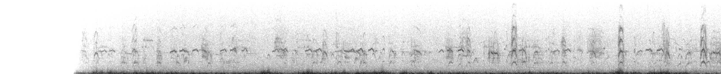 Black-naped Tern - ML361597221