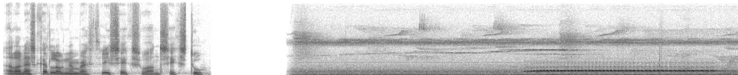Cava Kahverengi Kafalı Barbeti - ML36162