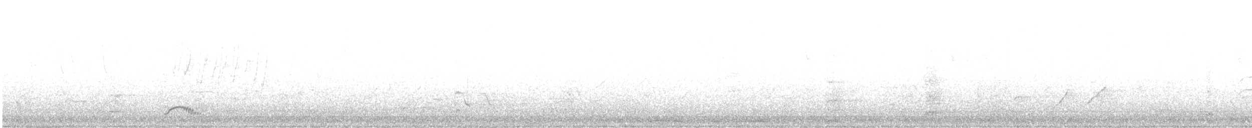 Spotless Crake - ML361623691