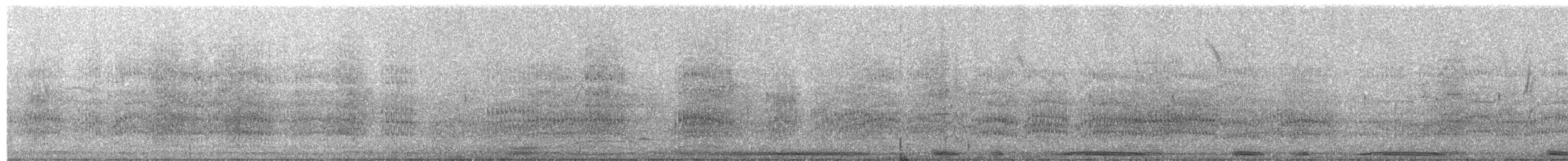 holub skvrnokřídlý - ML361650061