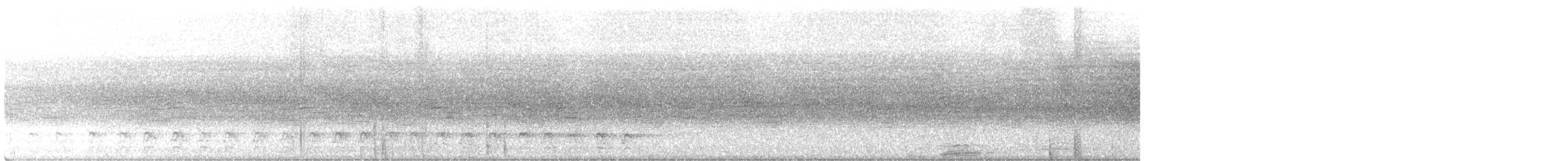 hvitbrynsvartspett - ML361669601