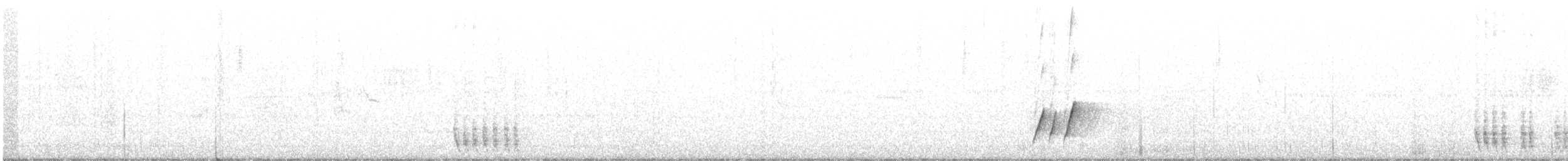 Krummschnabel-Spottdrossel [palmeri-Gruppe] - ML361679731
