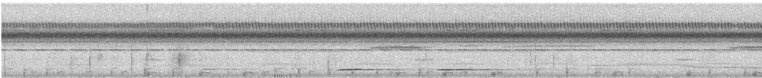 Gray Tinamou - ML361689471
