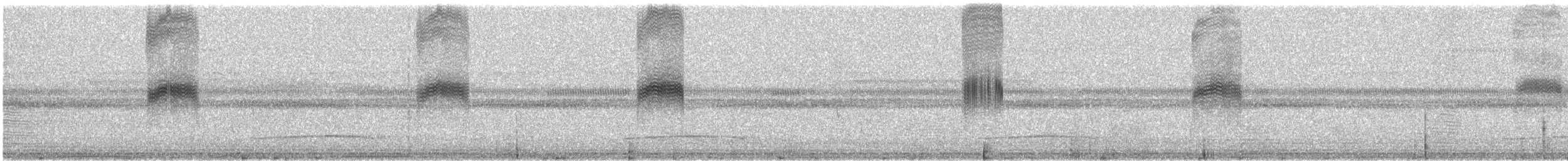 Серпокрилець-крихітка неотропічний - ML361689661