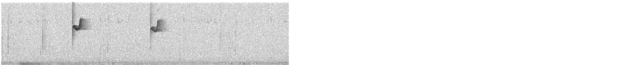 Клинохвостый колибри-отшельник - ML361703071