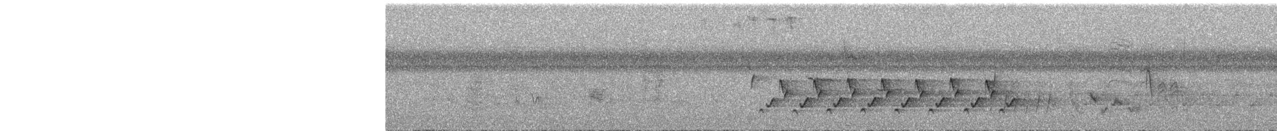 Поплітник каролінський - ML361738831