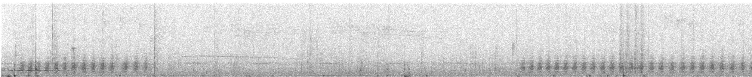 Касик жовтодзьобий (підвид australis) - ML361752611