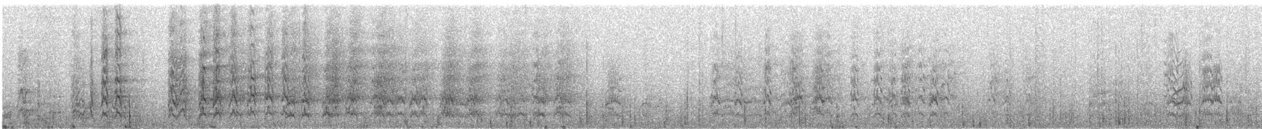 ズアカウロコインコ - ML361756511