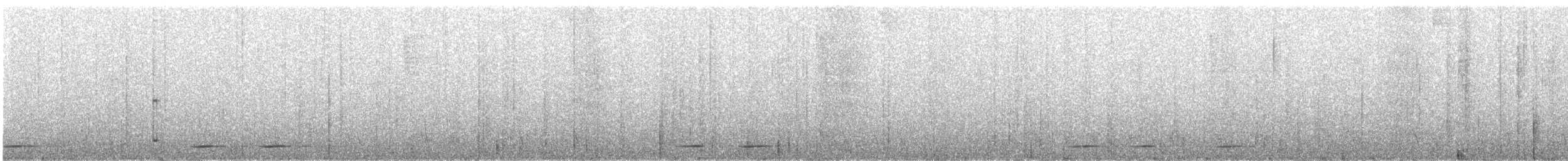 Grallaire à nuque grise - ML361778471