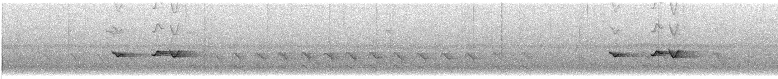 Рувензорская короткохвостка - ML361911691