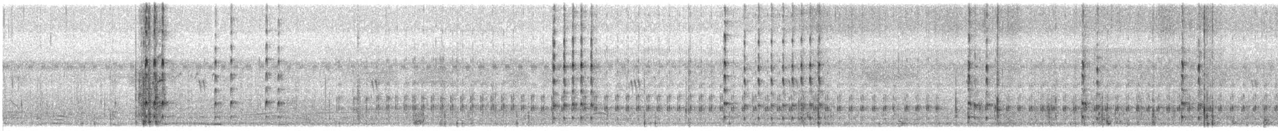 Vanneau à ailes blanches - ML361916921