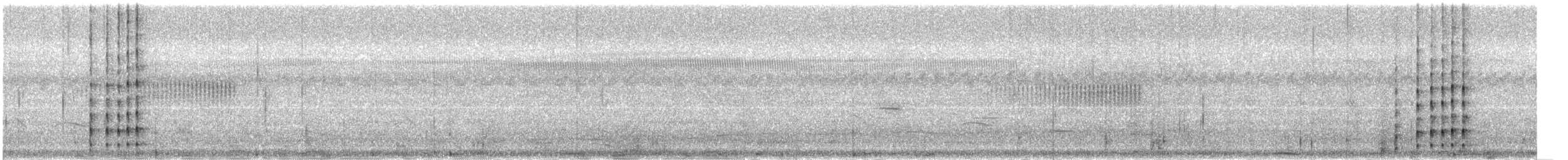 Vanneau à ailes blanches - ML361916931