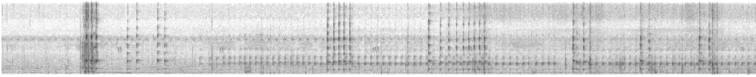 Vanneau à ailes blanches - ML361916951