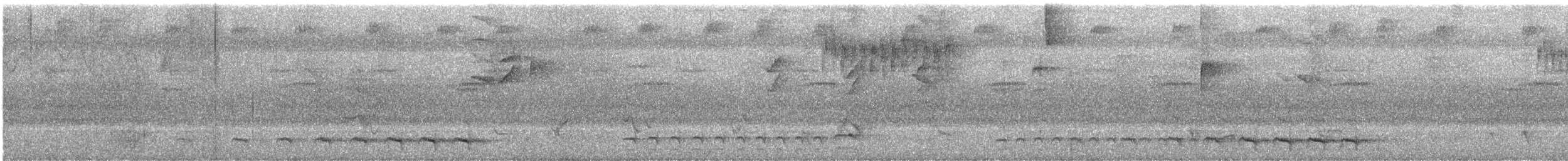 ガーターキヌバネドリ - ML361971881