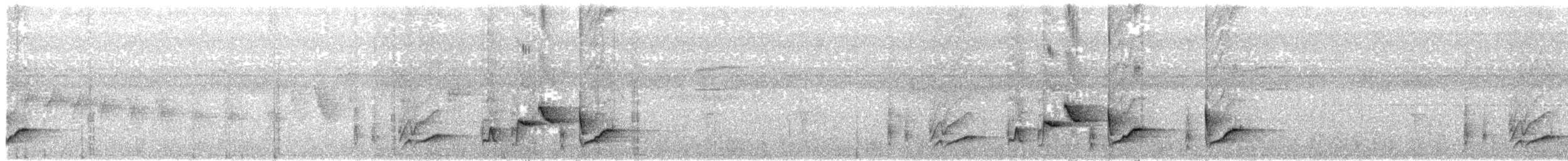 Длинноклювый крапивник - ML361980691
