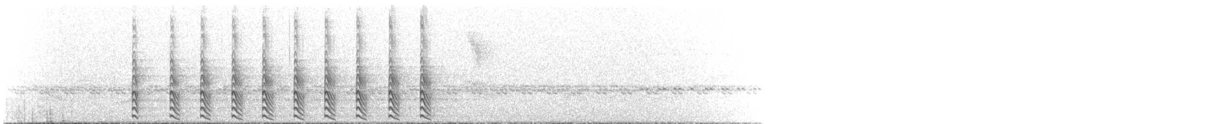 Bicolored Hawk - ML362005201