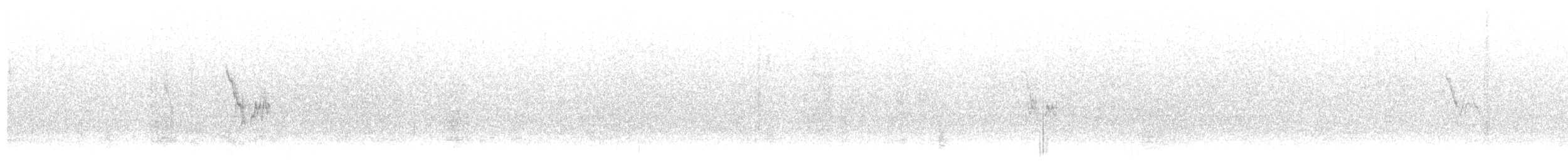 White Wagtail - ML36200771