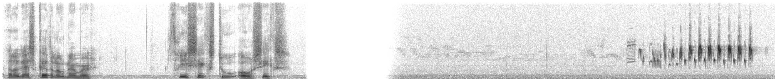 Кропив'янка прудка (підвид curruca/blythi/hamertoni) - ML36206