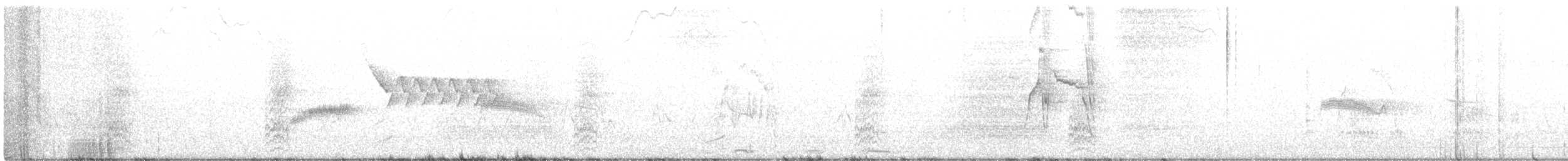 Гіла чорновола [група formicivorus] - ML362061551