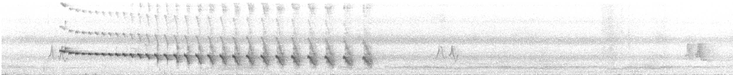 Grauband-Ameisenvogel - ML362100411