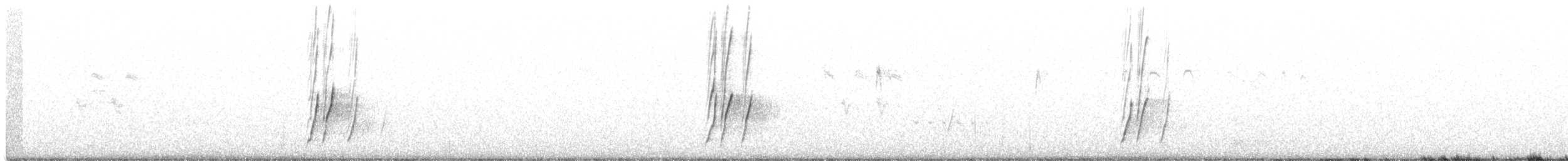 Moqueur à bec courbe (groupe palmeri) - ML362119921