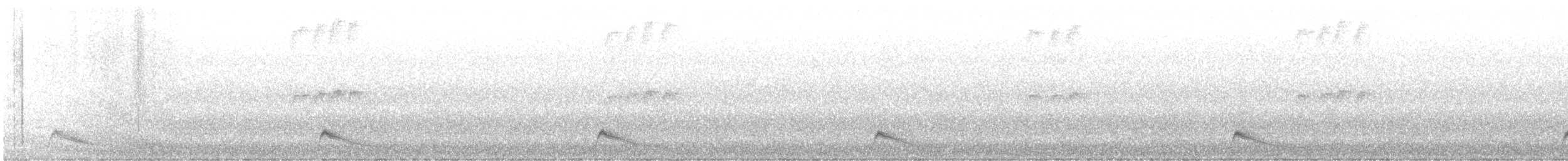 Pauraquenachtschwalbe - ML362160991