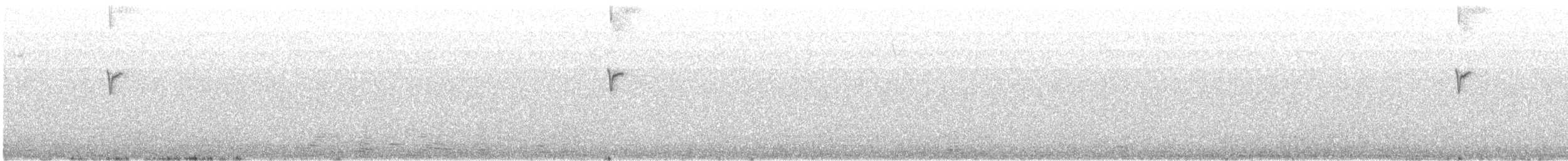 Фиолетовобородая горная нимфа - ML362191121