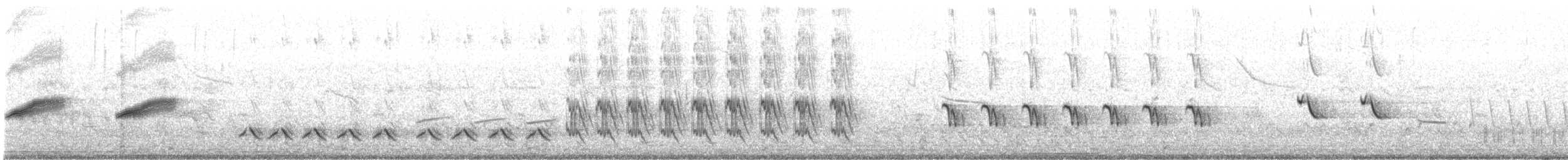 Tropical Mockingbird - ML362215971