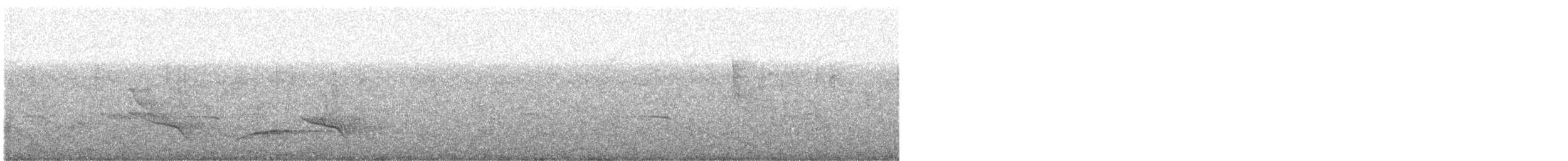 Nava's Wren - ML362269041