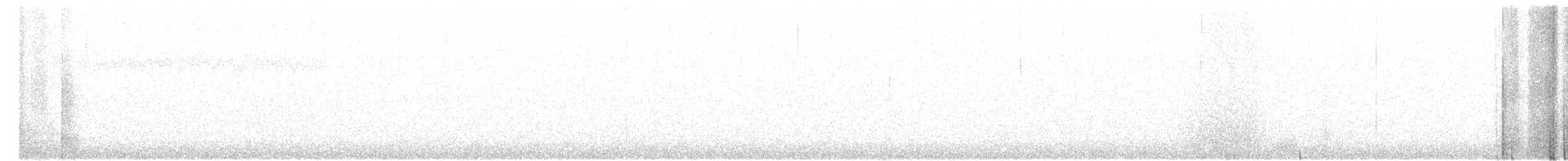 Шишкар ялиновий - ML36234821