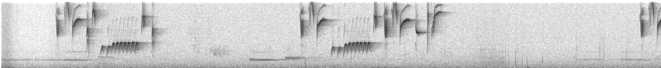 Zuckervogel - ML362387581