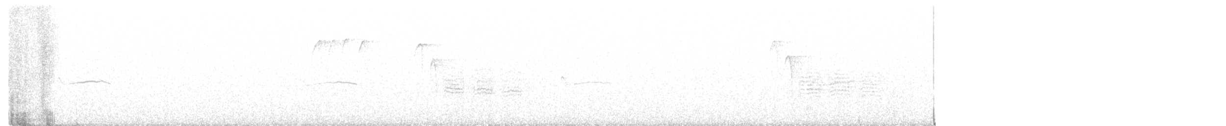 חופמי כפול-צווארון - ML362402641