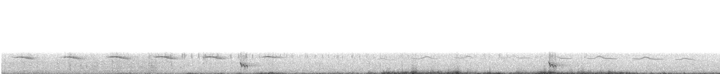 Brushland Tinamou - ML362424551