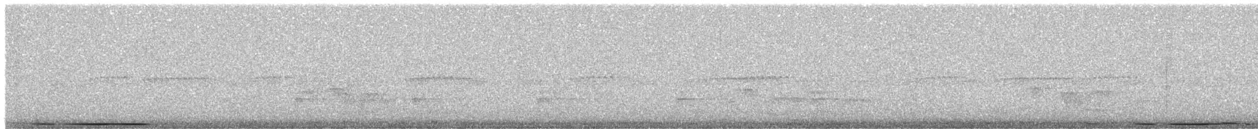 Белолобая голубка [группа verreauxi] - ML362507571