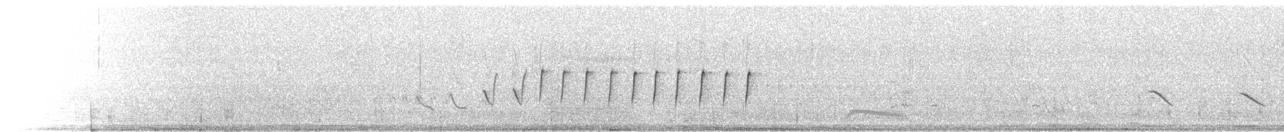 skřivan australasijský [skupina cantillans] - ML362536631