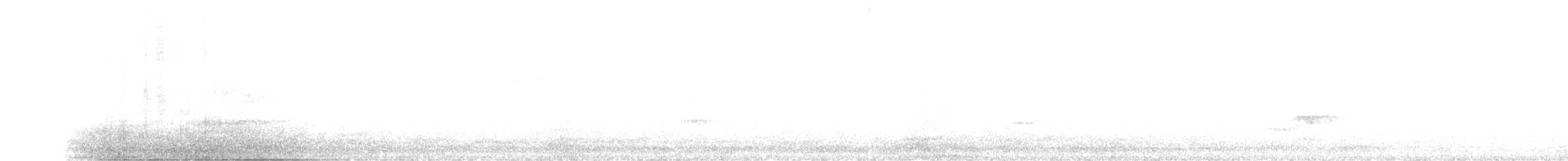 Little Owl - ML362555601