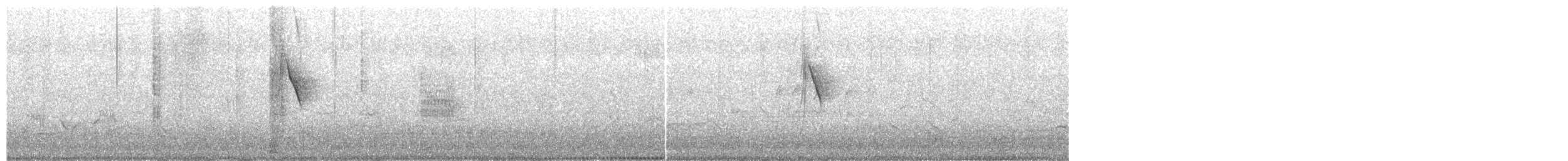 Western Yellow Wagtail (flava) - ML362576971