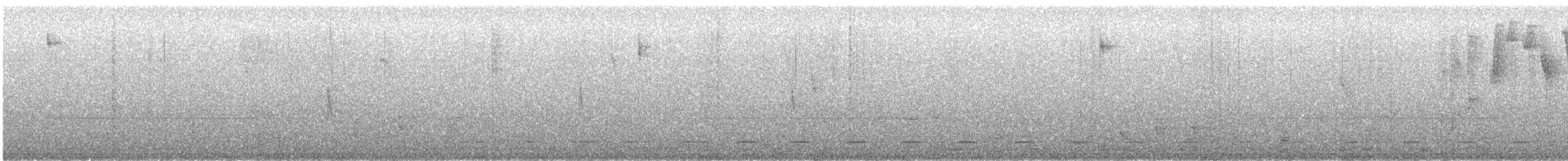 Сичик-горобець андійський - ML362584811