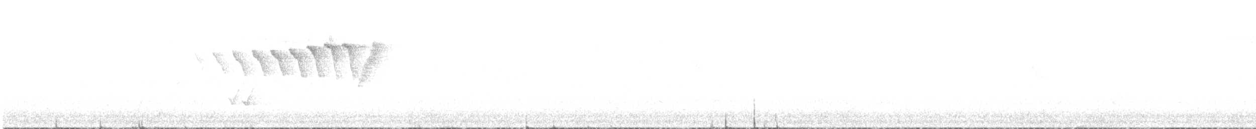 American Redstart - ML362598021