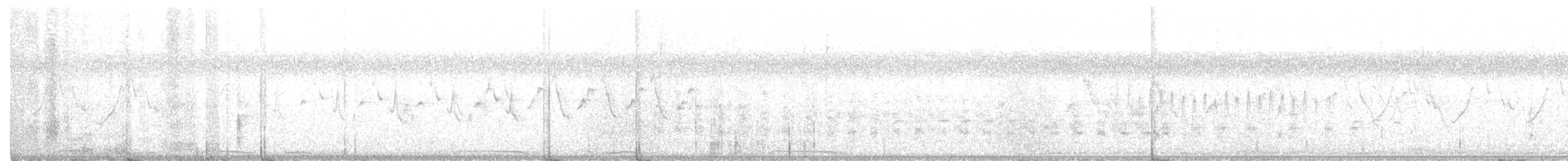 Ridgway's Rail - ML362646651