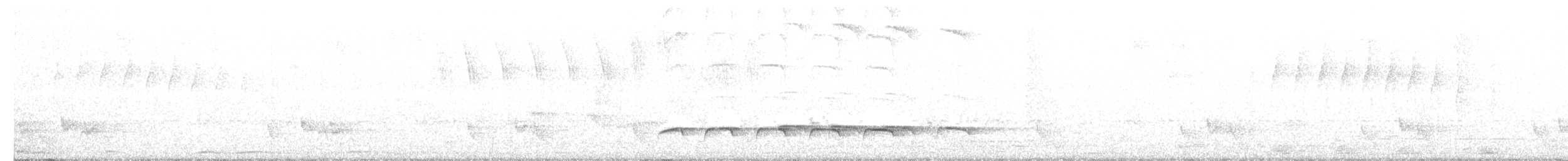 Weißbinden-Ameisenvogel - ML362868111