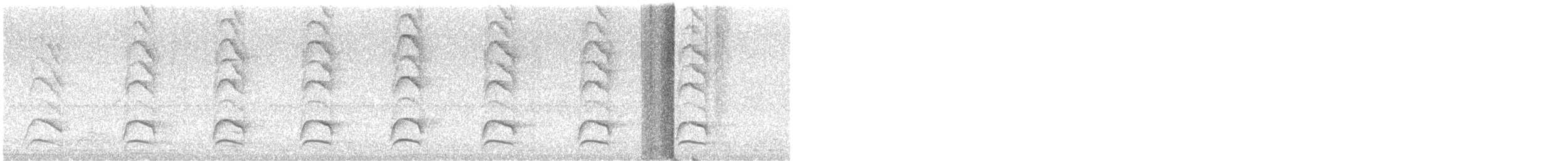Декол плямистоволий - ML362918691