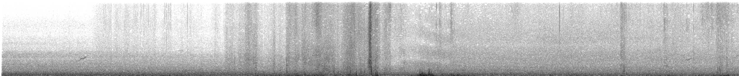 太平洋金斑鴴 - ML362931091