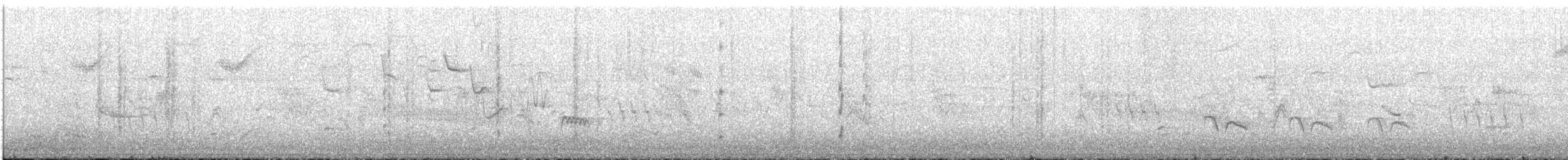 Новозеландская веерохвостка - ML362989341