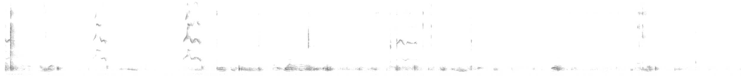 裏海燕鷗 - ML36306421