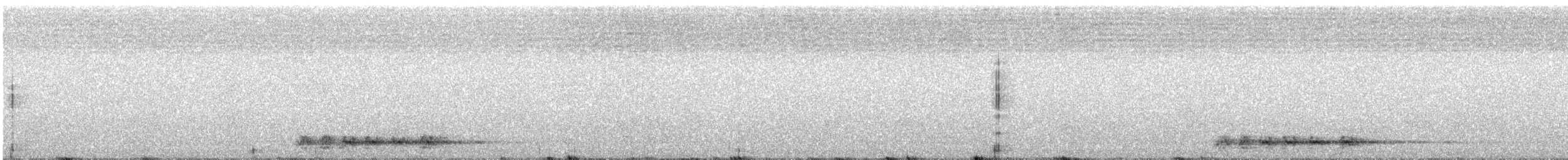 Серый павлиний фазан - ML363067691